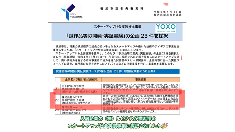 ルピナスがスタートアップ社会実装推進事業に採択